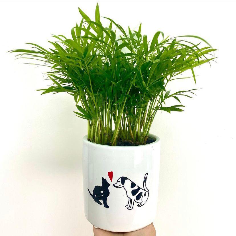 Ceramic pot Vase Animal Lover Planter for Succulents Plant Garden Supply