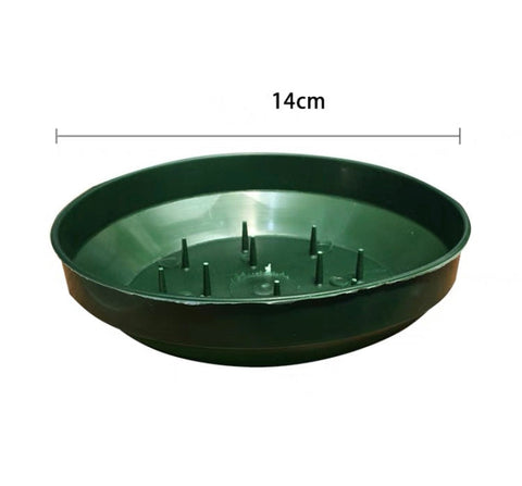 5.5” Green Round Dish