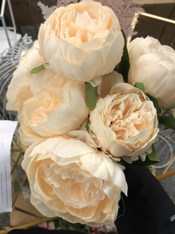 7 HEAD PEONIES champagne BUNCH