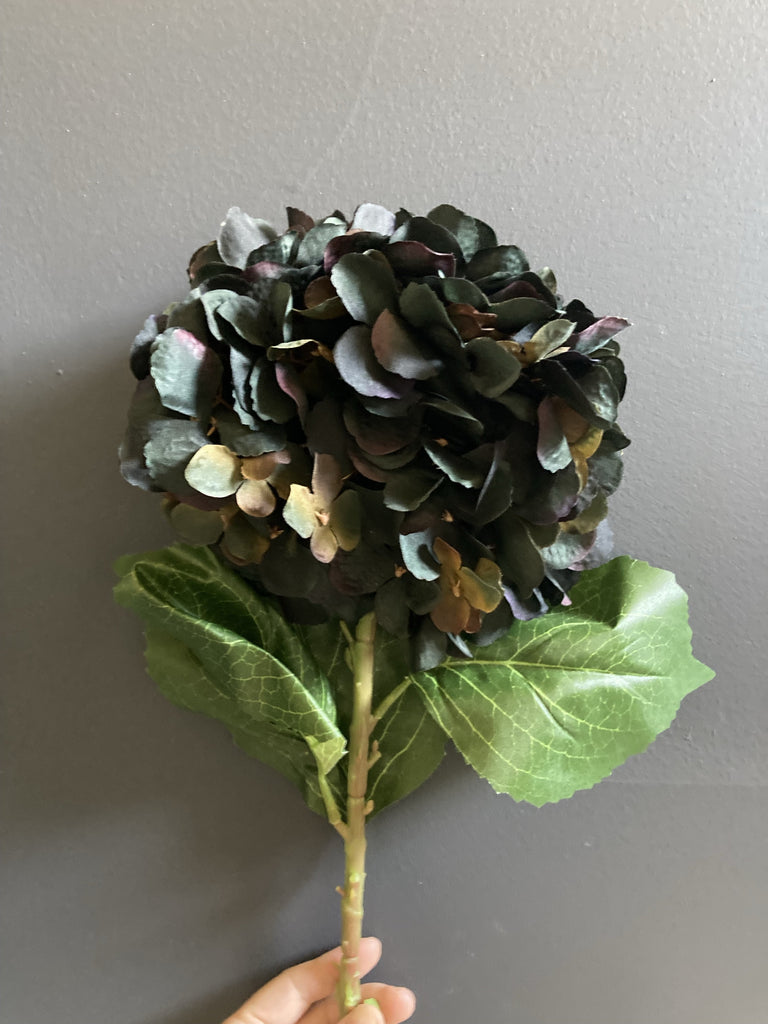 French Hydrangea Black Spray Single Stem