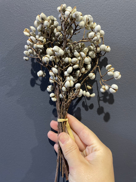 Preserved White berry bundle
