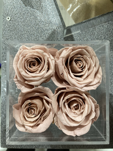 Preserved Rose in acrylic box with drawer Light Mauve (box of 4)