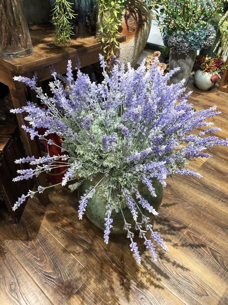 lavender with long flower stems Long stem Lavender Flower