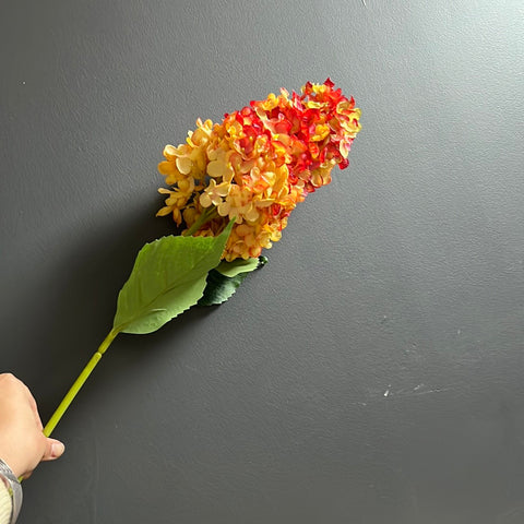 Burnt edge cone Hydrangea Single Stem spray(Orange)