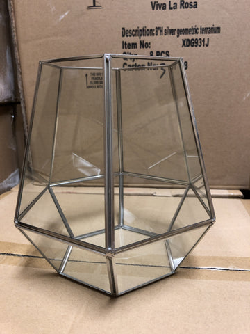 Silver Lantern geometric terrarium 8”H
