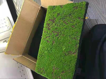 Green grass Carpet Fabric 1mx5m