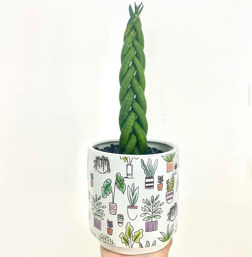 Ceramic pot Vase Plantiful Planter for Succulents Plant Garden Supply (S)