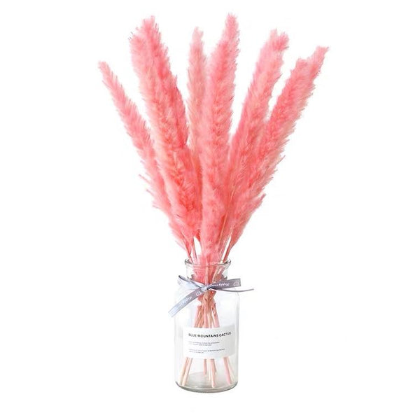 25" Pink pampas grass stick (M)