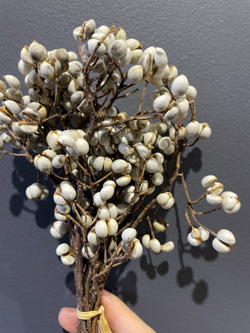 Preserved White berry bundle