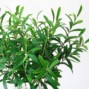 Green Artificial flower Olive leaf greenery