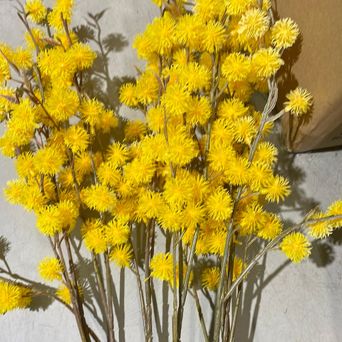 Dandelion Bright yellow bud Single Stem yellow Pom ball