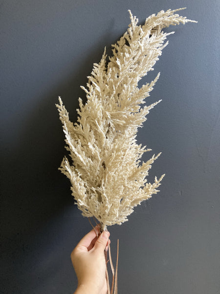 Pampas Grass beige cream (s)