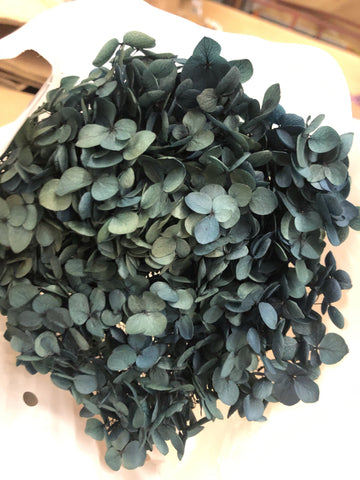 Single stem preserved Hydrangea Green w/ Blue hue