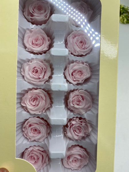 Preserved Rose Head Light Pink (box of 12)