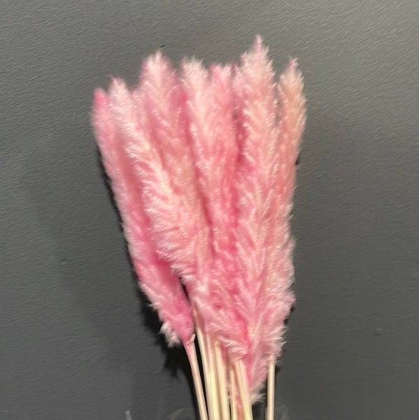 25” Dusty Pink pack of 15 pampas grass stick Dried