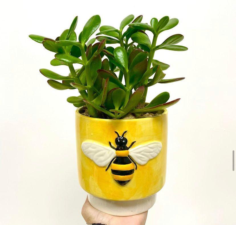 Ceramic pot Vase Honey Bee Planter for Succulents Plant Garden Supply