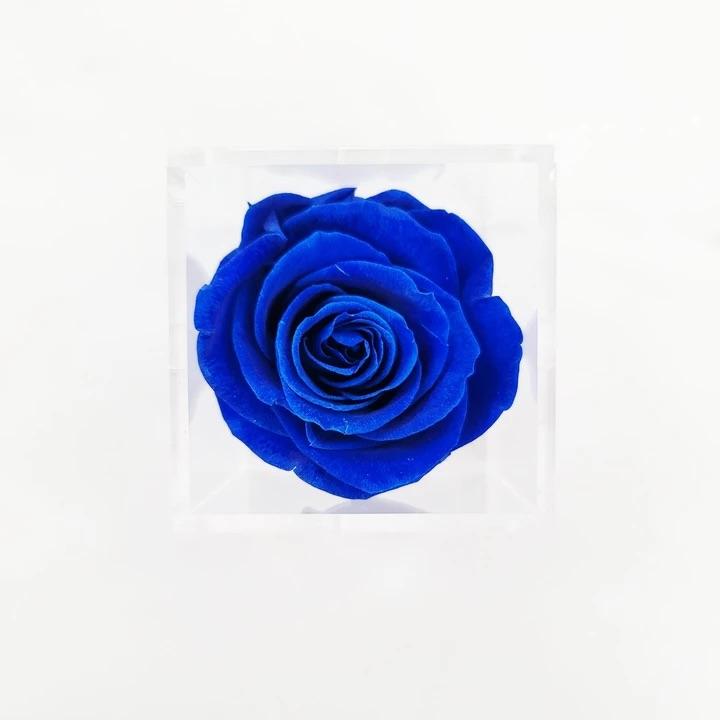 Preserved Rose in acrylic box Royal Blue (box of 1)