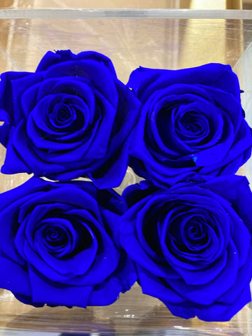 Preserved Rose in acrylic box with drawer Royal blue(box of 4)
