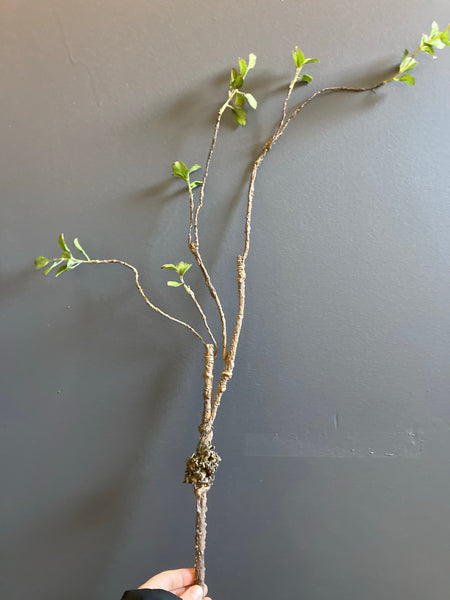 Faux LONG branch Brown with green leaf