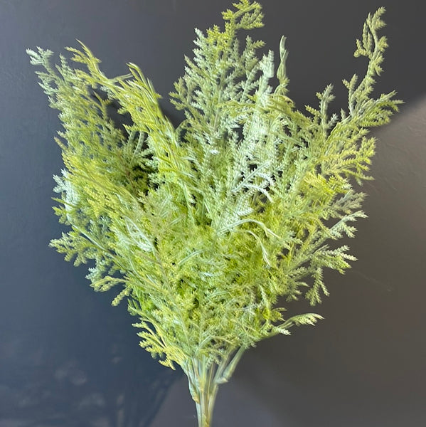 New dark green/silver floating fern bunch