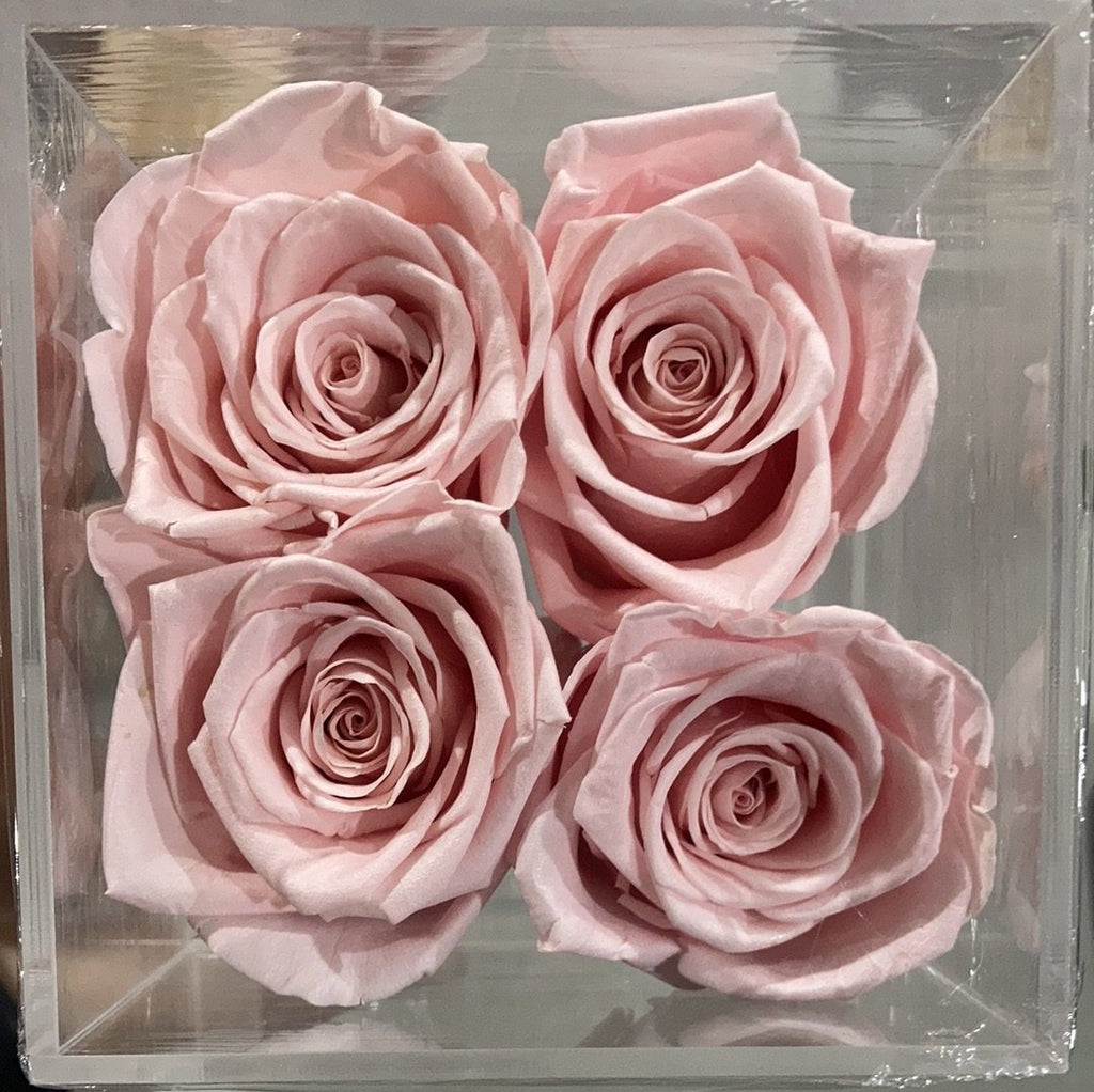 Preserved Rose in acrylic box with drawer RED (box of 4)