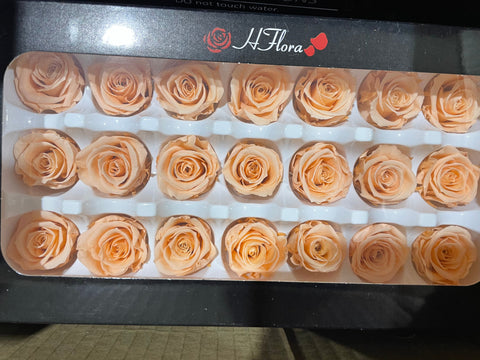 Preserved Rose Head Light Orange (box of 21)