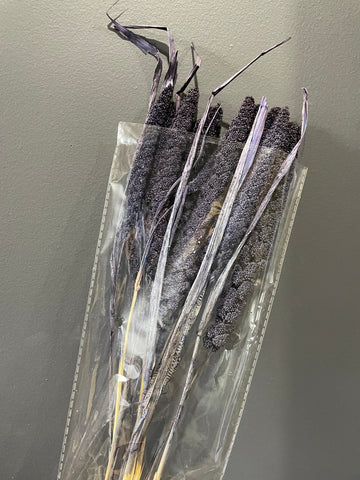 Preserved Wheat Dark Purple
