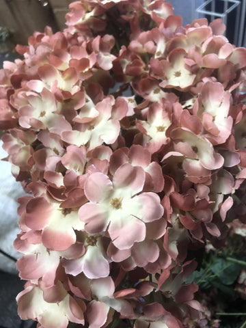 Two Tone Dusty Orange Hydrangea Bunch 6 head silk fall dolor