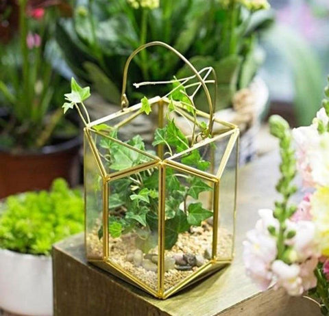 Mini Gold Lantern Small (6.3" terrarium)