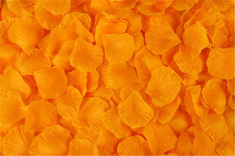 Orange Silk Rose Petal