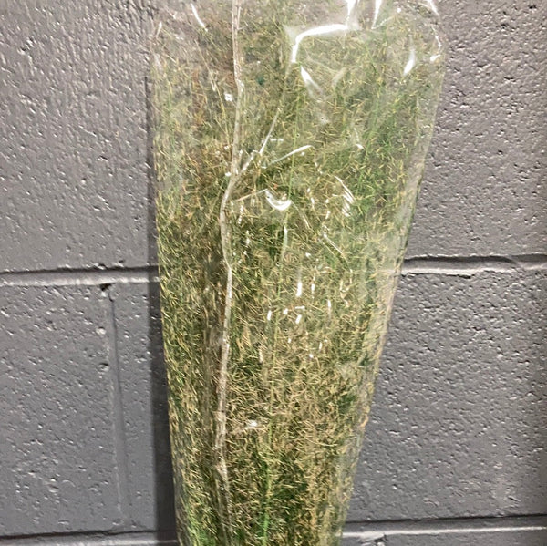 Preserved Green Dried Grass bunch 30”(50/bundle) Muhlenbergia capillaris