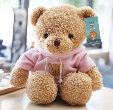 12.5” Brown Bear with pink sweater