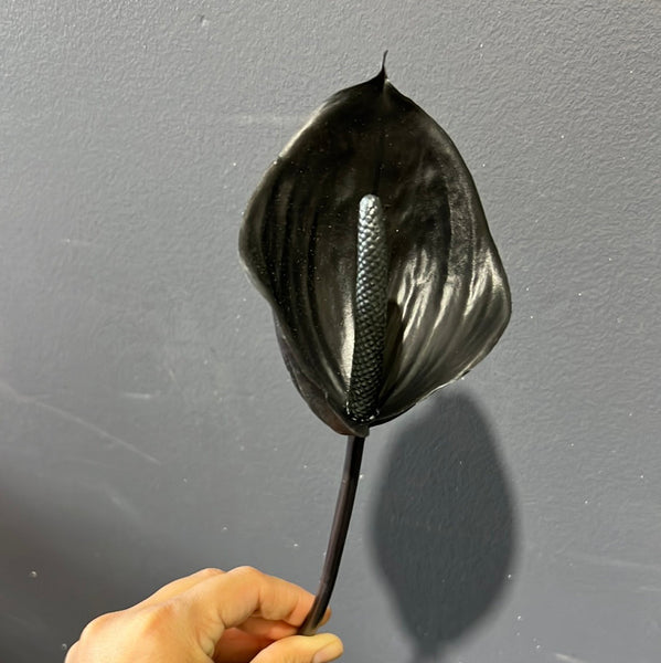 Black Anthurium Tropical Artificial Real Touch flower