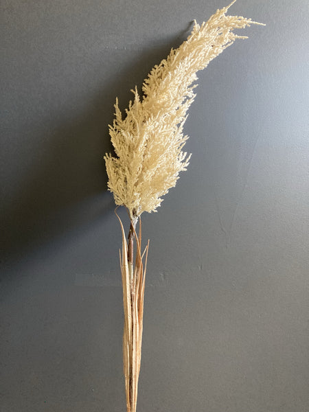Pampas Grass Artificial Flower single stem beige cream (L)