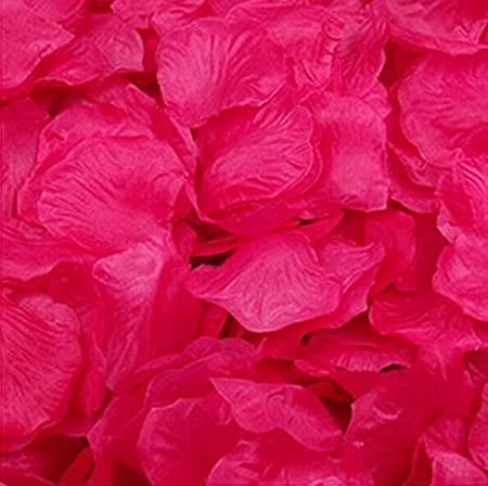 Hot Pink Silk Rose Petal