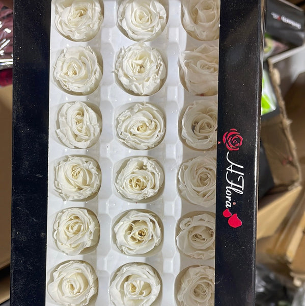 Preserved Rose Head Cream (box of 21)
