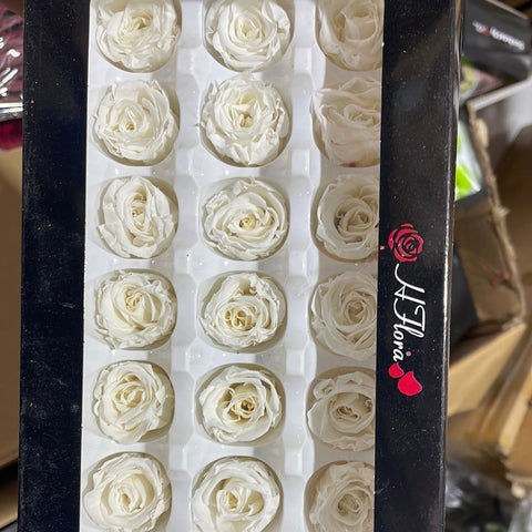 Preserved Rose Head Cream (box of 21)