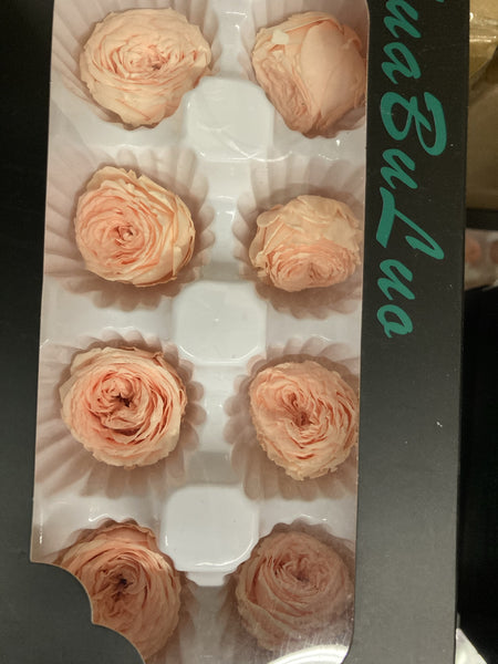 Preserved Rose Light Orange (box of 8)