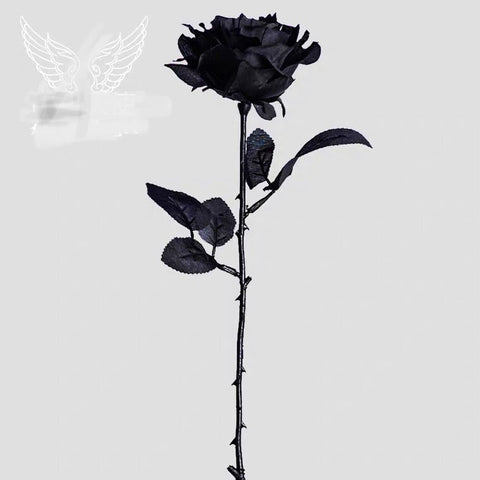 Black Single Stem Rose