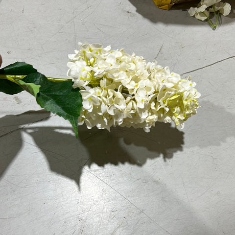 Burnt edge cone Hydrangea Single Stem spray(Cream)