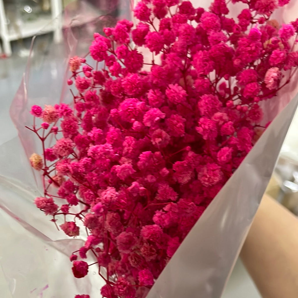 Preserved baby’s breath bunch hot Pink
