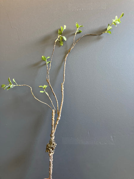 Faux LONG branch Brown with green leaf