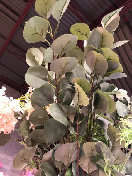 Long stem Eucalyptus Bunch for Wedding home decor Silver Dollar greenery