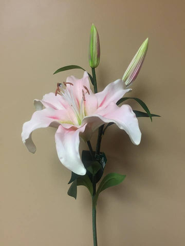 Stargazer Lily (8-9") - SB205PK