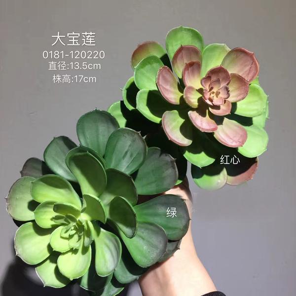 Real Touch Succulent artificial flower leaf wedding greenery 0181-120220  (cactus)-REA-7