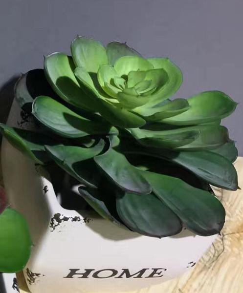 Real Touch Succulent artificial flower leaf wedding greenery 0181-120220  (Echeveria)-REA-4