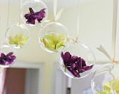Hanging Glass Vase 7" Round Planter Bubble Ceiling decor - Richview Glass Wedding Supplies