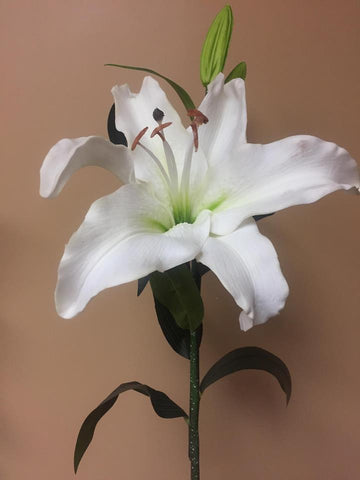 Stargazer Lily (8-9") - SB205PK